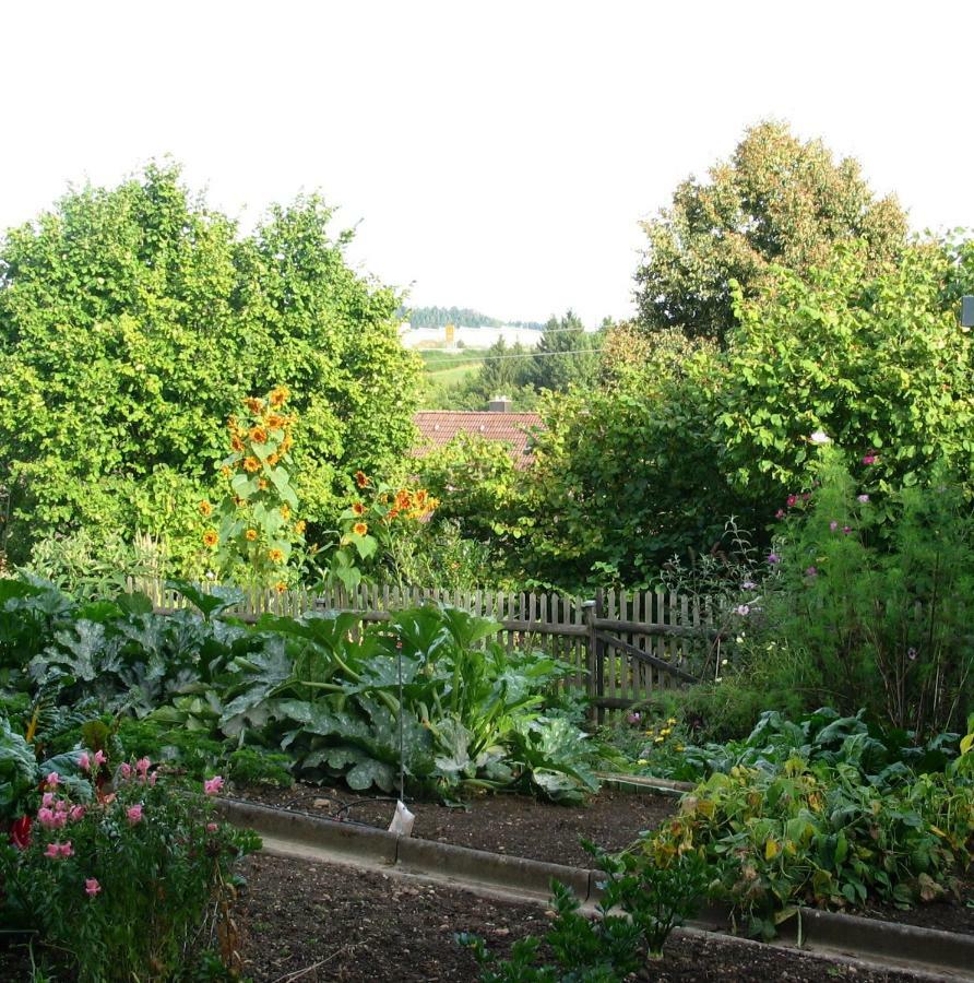 2-Zimmer-Ferienwohnung Gartenblick Rottweil Eksteriør bilde